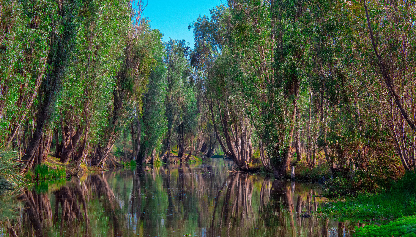 Xochimilco